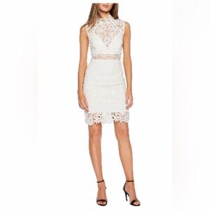 BARDOT Paris lace Body-Con Dress Size L